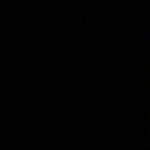 Meet your Posher, Ricky